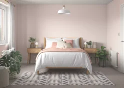 Dulux Matt Blush Pink Emulsion Paint 2.5Ltr 11 Dulux Matt Blush Pink Emulsion Paint 2.5Ltr -Famous Paint Store 146CG A2