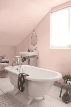 Dulux Matt Blush Pink Emulsion Paint 2.5Ltr 15 Dulux Matt Blush Pink Emulsion Paint 2.5Ltr -Famous Paint Store 146CG A6