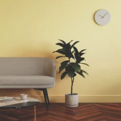 LickPro Eggshell Yellow 01 Emulsion Paint 5Ltr 13 LickPro Eggshell Yellow 01 Emulsion Paint 5Ltr -Famous Paint Store 154JY A5