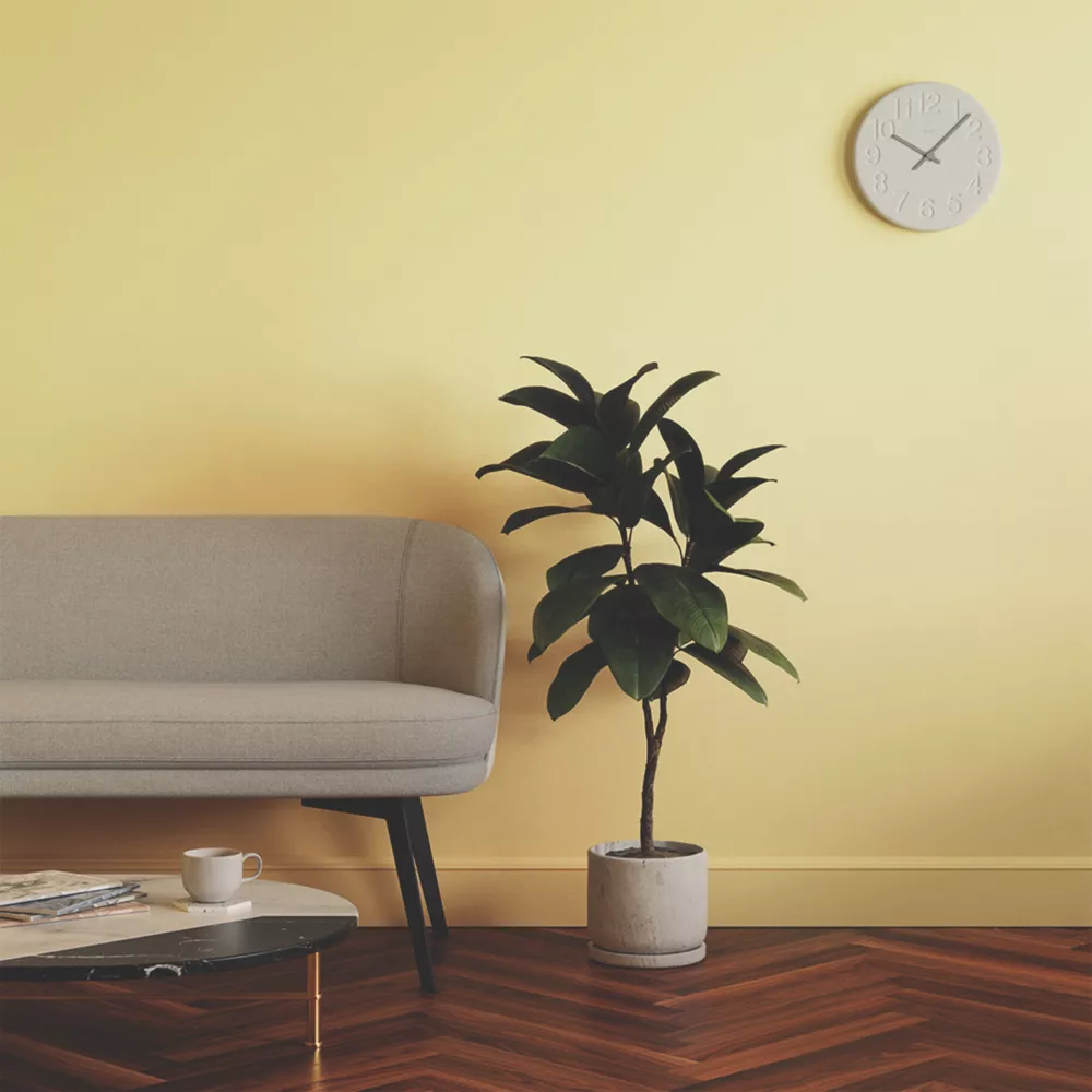 LickPro Eggshell Yellow 01 Emulsion Paint 5Ltr 8 LickPro Eggshell Yellow 01 Emulsion Paint 5Ltr - Image 6