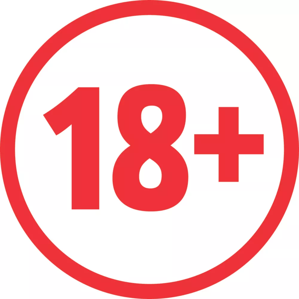 No Nonsense Scraper Blades 6" 5 Pack 4 No Nonsense Scraper Blades 6" 5 Pack - Image 2