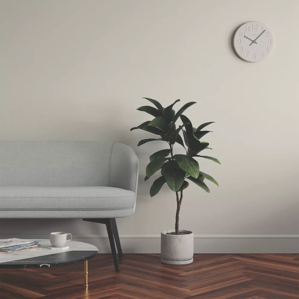 LickPro Eggshell Grey 02 Emulsion Paint 2.5Ltr 8 LickPro Eggshell Grey 02 Emulsion Paint 2.5Ltr - Image 6