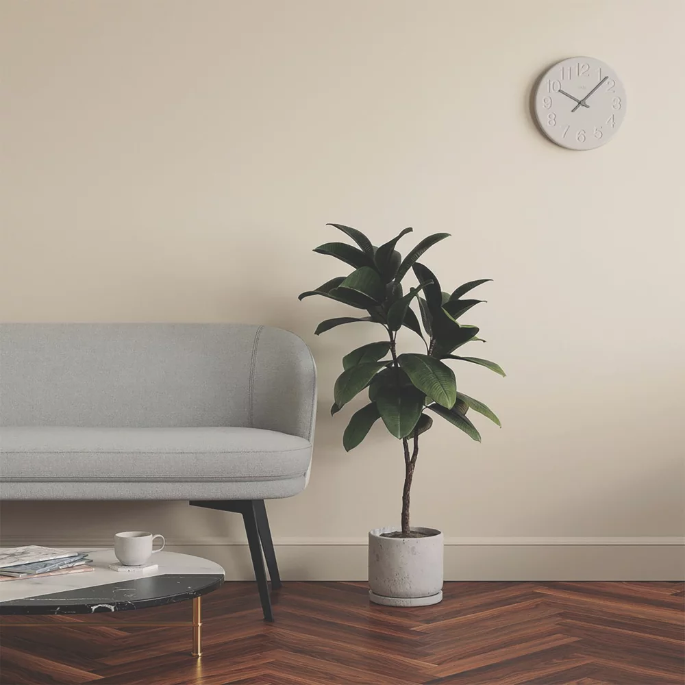 LickPro Eggshell White 05 Emulsion Paint 5Ltr 8 LickPro Eggshell White 05 Emulsion Paint 5Ltr - Image 6