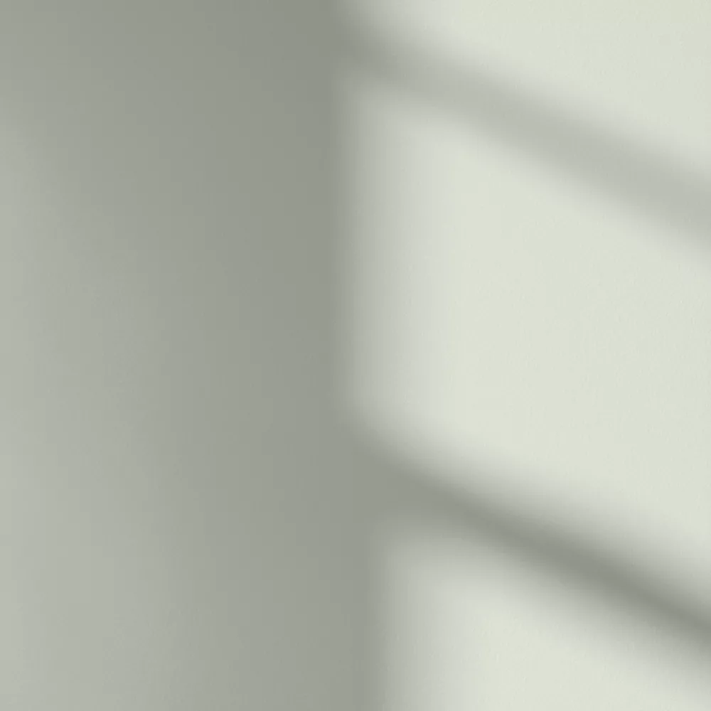 LickPro Eggshell Green 09 Emulsion Paint 5Ltr 6 LickPro Eggshell Green 09 Emulsion Paint 5Ltr - Image 4