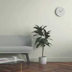 LickPro Eggshell Green 09 Emulsion Paint 5Ltr 13 LickPro Eggshell Green 09 Emulsion Paint 5Ltr -Famous Paint Store 296JY A5