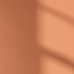 LickPro Eggshell Orange 04 Emulsion Paint 2.5Ltr 11 LickPro Eggshell Orange 04 Emulsion Paint 2.5Ltr -Famous Paint Store 315JY A3