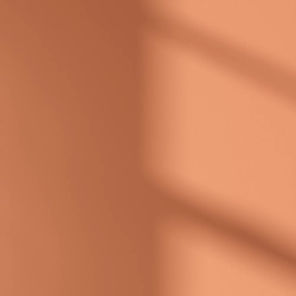 LickPro Eggshell Orange 04 Emulsion Paint 2.5Ltr 6 LickPro Eggshell Orange 04 Emulsion Paint 2.5Ltr - Image 4