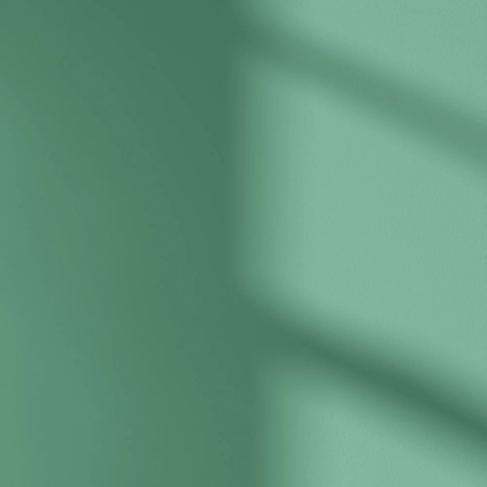 LickPro Eggshell Green 17 Emulsion Paint 2.5Ltr 6 LickPro Eggshell Green 17 Emulsion Paint 2.5Ltr - Image 4