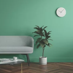 LickPro Eggshell Green 17 Emulsion Paint 2.5Ltr 13 LickPro Eggshell Green 17 Emulsion Paint 2.5Ltr -Famous Paint Store 334JY A5