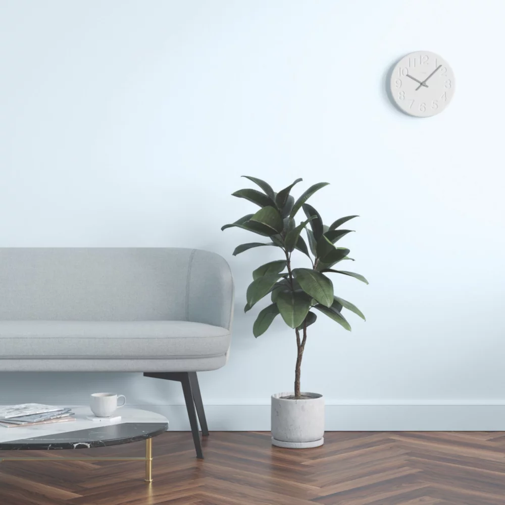 LickPro Eggshell Blue 12 Emulsion Paint 5Ltr 8 LickPro Eggshell Blue 12 Emulsion Paint 5Ltr - Image 6