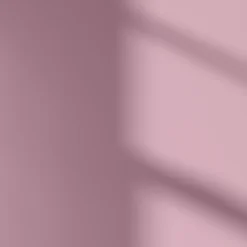 LickPro Matt Pink 10 Emulsion Paint 2.5Ltr -Famous Paint Store 393JY A3