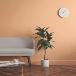 LickPro Eggshell Orange 03 Emulsion Paint 5Ltr -Famous Paint Store 395JY A5