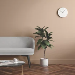 LickPro Matt Beige 08 Emulsion Paint 2.5Ltr -Famous Paint Store 429JY A5