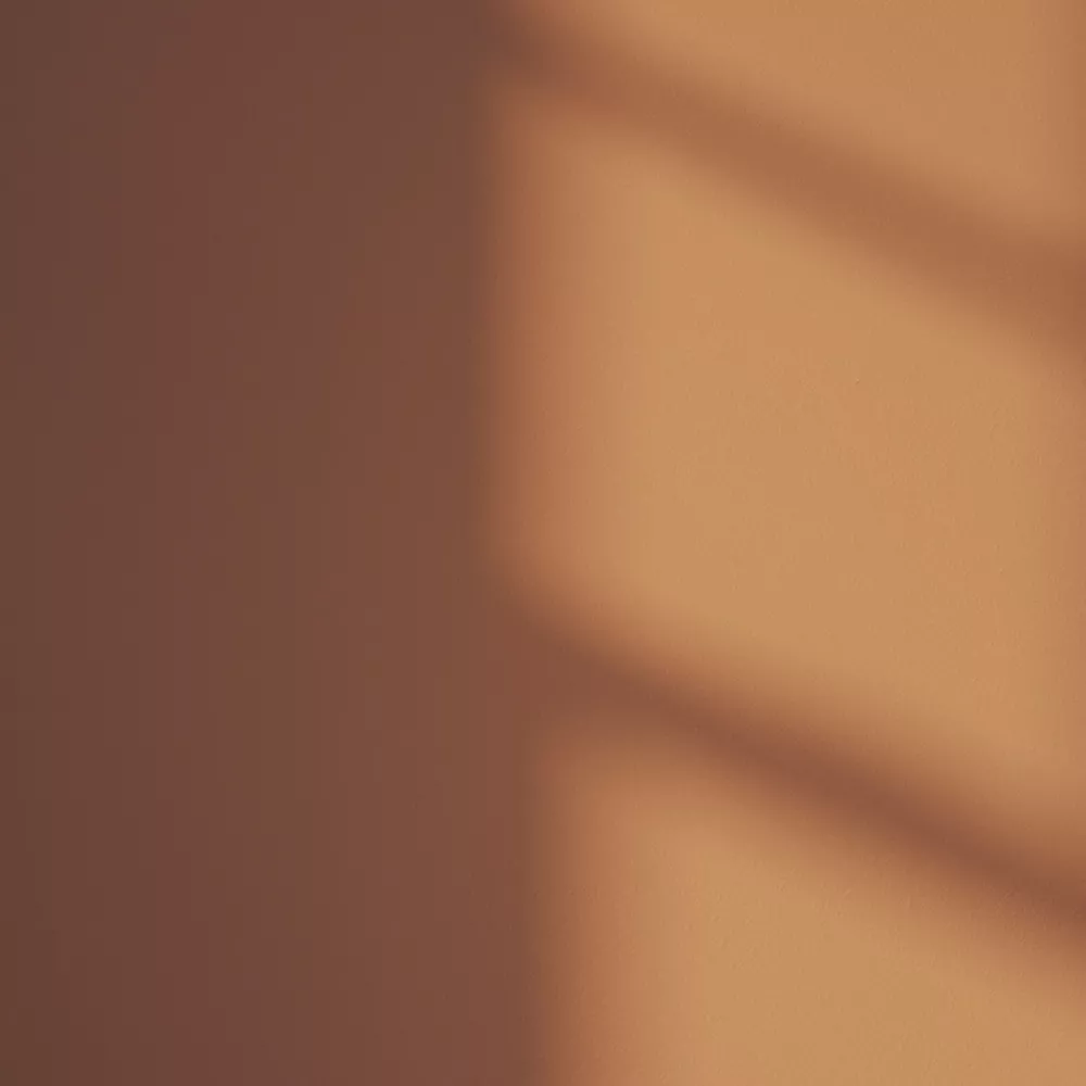 LickPro Matt Orange 02 Emulsion Paint 5Ltr 6 LickPro Matt Orange 02 Emulsion Paint 5Ltr - Image 4