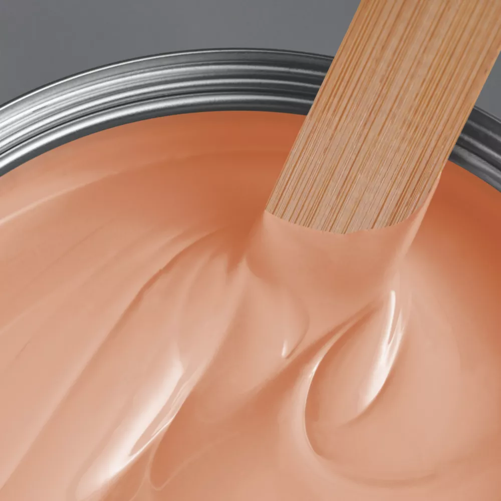 LickPro Eggshell Orange 05 Emulsion Paint 2.5Ltr 4 LickPro Eggshell Orange 05 Emulsion Paint 2.5Ltr - Image 2