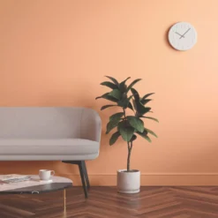 LickPro Eggshell Orange 05 Emulsion Paint 2.5Ltr 13 LickPro Eggshell Orange 05 Emulsion Paint 2.5Ltr -Famous Paint Store 493JX A5