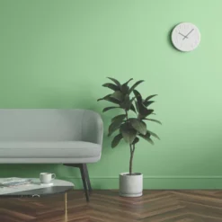 LickPro Eggshell Green 16 Emulsion Paint 5Ltr -Famous Paint Store 517JY A5