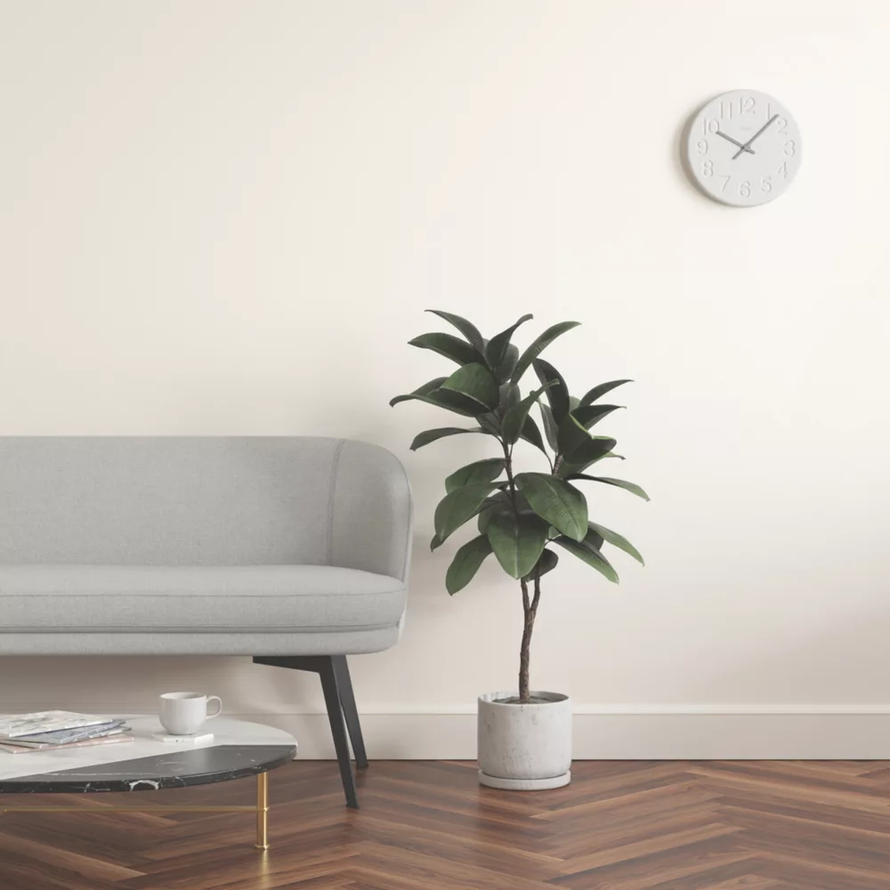 LickPro Matt White 06 Emulsion Paint 5Ltr 8 LickPro Matt White 06 Emulsion Paint 5Ltr - Image 6