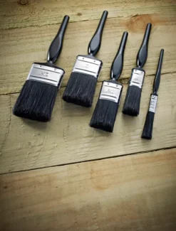 No Nonsense Synthetic Paintbrush Set 5 Piece Set -Famous Paint Store 63231 A2