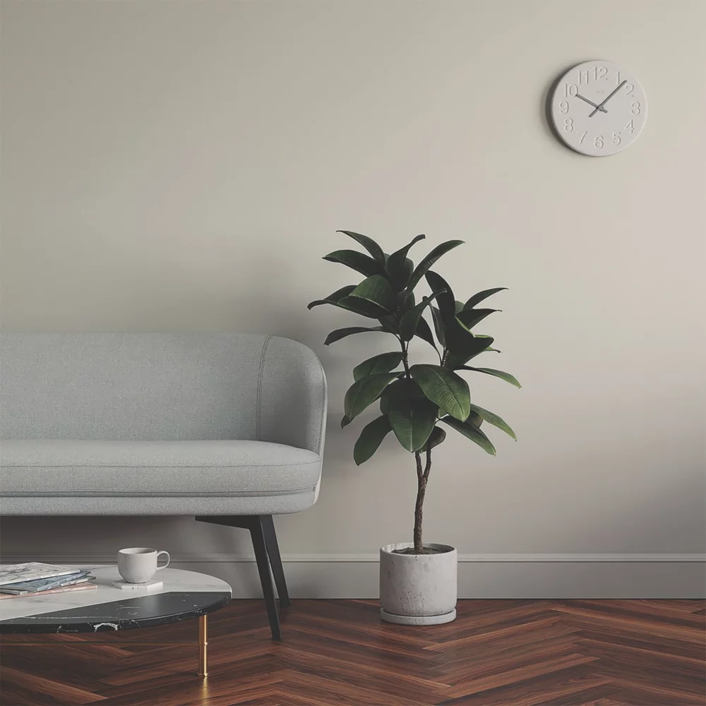 LickPro Eggshell Grey 03 Emulsion Paint 5Ltr 8 LickPro Eggshell Grey 03 Emulsion Paint 5Ltr - Image 6