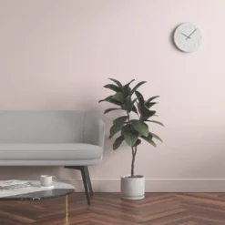 LickPro Eggshell Pink 07 Emulsion Paint 5Ltr -Famous Paint Store 710JY A5