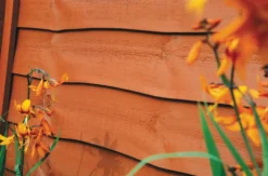 Ronseal One Coat Fence Life Red Cedar 9Ltr -Famous Paint Store 7599R A3