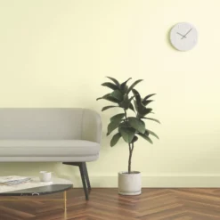 LickPro Eggshell Yellow 05 Emulsion Paint 5Ltr -Famous Paint Store 777JY A5