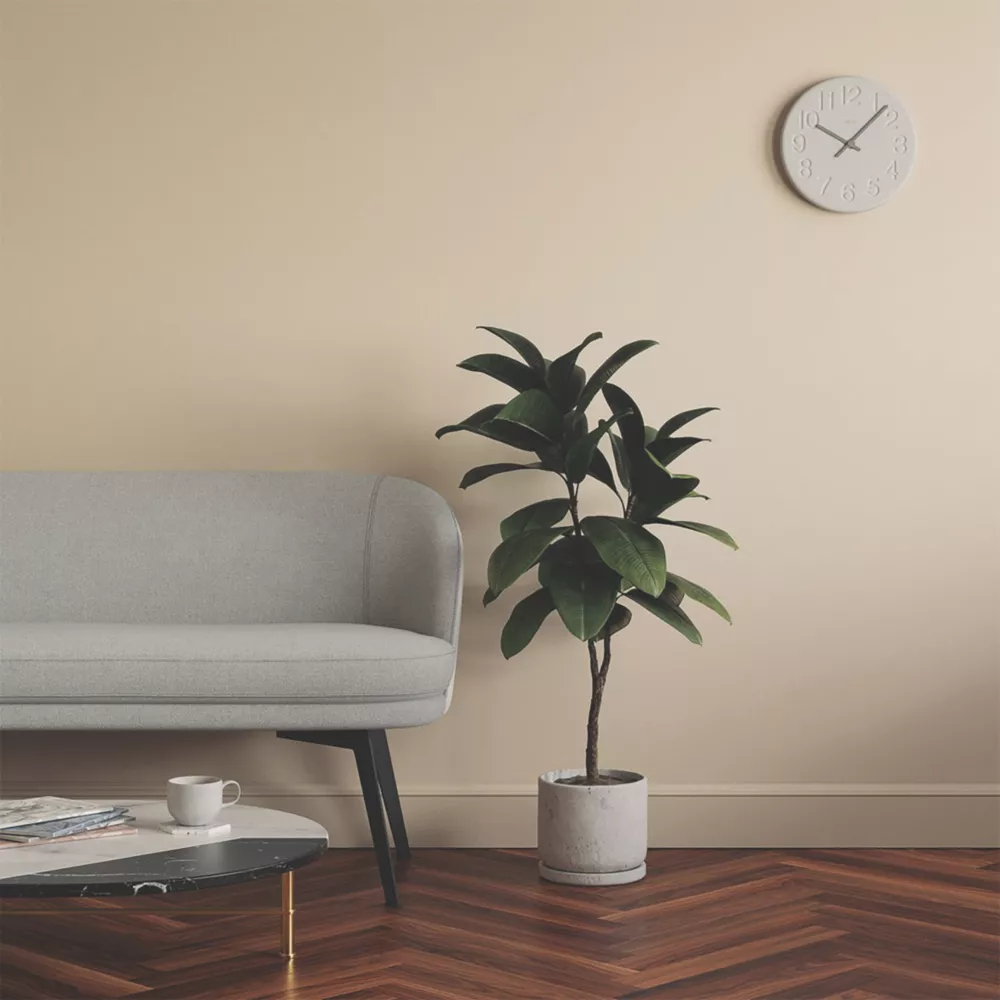 LickPro Matt Beige 01 Emulsion Paint 5Ltr 8 LickPro Matt Beige 01 Emulsion Paint 5Ltr - Image 6