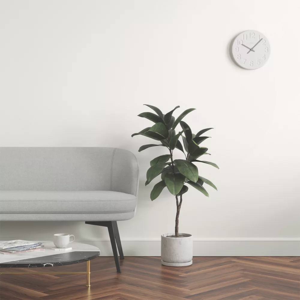 LickPro Eggshell Taupe 02 Emulsion Paint 5Ltr 8 LickPro Eggshell Taupe 02 Emulsion Paint 5Ltr - Image 6