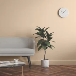 LickPro Eggshell Beige 07 Emulsion Paint 2.5Ltr -Famous Paint Store 869JY A5