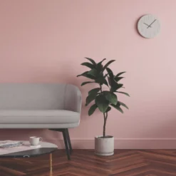 LickPro Matt Pink 05 Emulsion Paint 2.5Ltr 13 LickPro Matt Pink 05 Emulsion Paint 2.5Ltr -Famous Paint Store 885JY A5