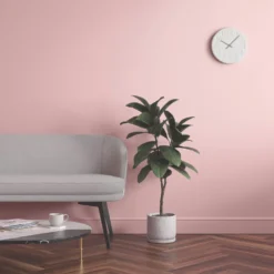 LickPro Matt Pink 11 Emulsion Paint 2.5Ltr -Famous Paint Store 963JX A5