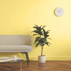 LickPro Eggshell Yellow 06 Emulsion Paint 5Ltr 13 LickPro Eggshell Yellow 06 Emulsion Paint 5Ltr -Famous Paint Store 967JY A5