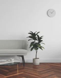 LickPro Eggshell White 04 Emulsion Paint 2.5Ltr -Famous Paint Store 977JY A5