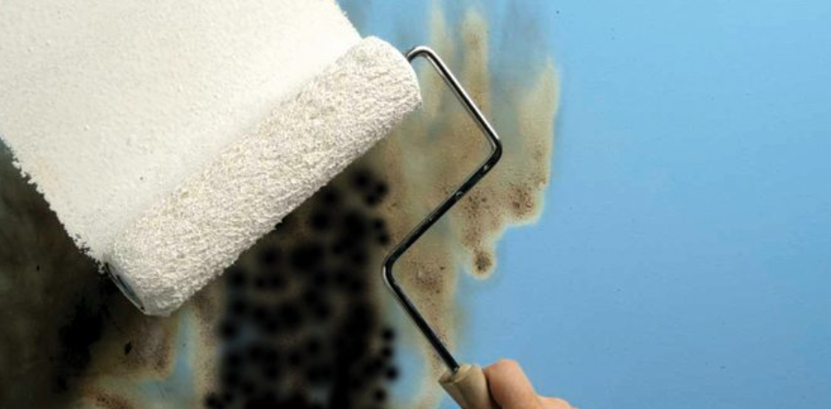 Famous Paint Store -Famous Paint Store EDOL@0XI3WJEQ5J69D